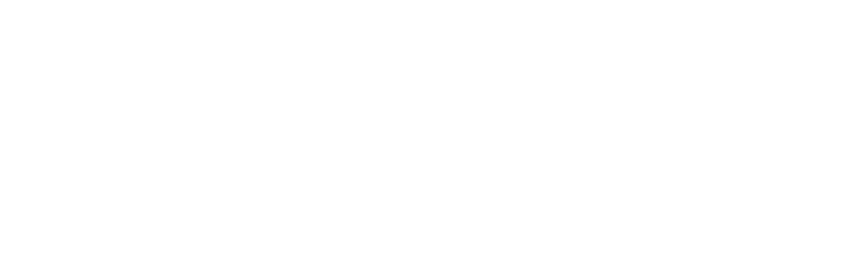 Dell_Logo 2